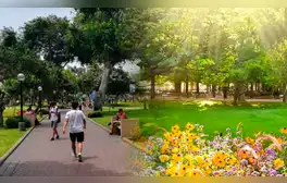 A pocos días para la primavera 2024 en Perú, Senamhi revela fecha y hora de inicio de nueva estación