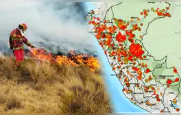 Incendios Forestales en Perú 2024 EN VIVO, Hoy: aumenta a 16 los fallecidos y gremios exigen declarar emergencia