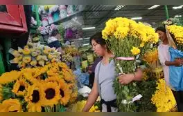 ¿Dónde comprar flores amarillas en Lima? Los 3 mercados imperdibles para el 21 de septiembre