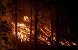Una joyita de novela de Richard Ford: “Incendios”