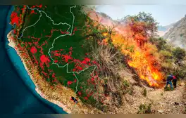 Incendios forestales en Perú 2024: Gobierno declara estado de emergencia en Amazonas, Ucayali y San Martín tras la pérdida de 19.000 hectáreas