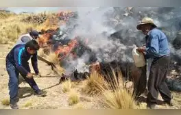 Gobierno entregará bonos a afectados por incendios forestales