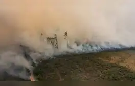 Más regiones piden estar en emergencia ante incendios
