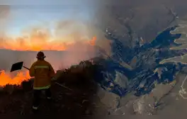 Incendios Forestales y la Ley 'Antiforestal' del Congreso agrava la crisis en el Perú: ¿Cuál será el futuro de las zonas afectadas?