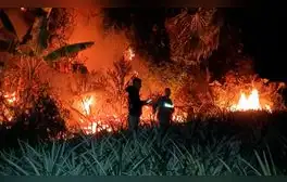 Pueblo awajún pide que se derogue ley antiforestal ante incendios forestales: "La destrucción de bosques compromete nuestro futuro"