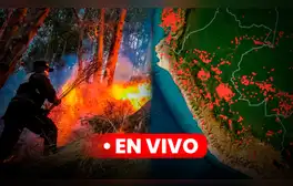 Incendios forestales Perú 2024 EN VIVO: Gobierno de Boluarte no otorgará títulos de propiedad para recuperar zonas afectadas