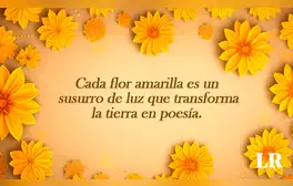 Imágenes de flores amarillas con frases para dedicar este 21 de septiembre