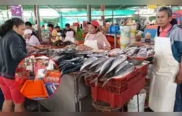 ¿Por qué la pota subió de precio? Se disparó más del 400% en Perú