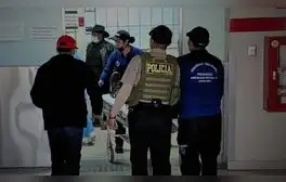 Estudiante universitaria salva de morir tras sufrir ataque de cinco perros en Arequipa
