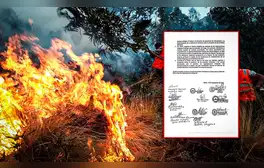 Pueblos originarios anuncian protesta por inacción ante incendios forestales: "Indolencia del Gobierno"