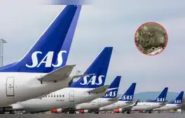Vuelo a Málaga aterriza de emergencia por presencia de un ratón en la comida de una pasajera