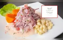 ¿Cuál es la mejor cevichería del Perú? Estos son los 14 restaurantes marinos nominados a Premios Summum 2024