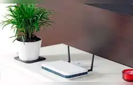 ¿Por qué no debes colocar una planta cerca al router? Tienes que separarlos ahora mismo