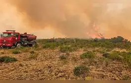 Incendios forestales en Amazonas: Indeci solo tomó fotos y bomberos van con el zapato roto