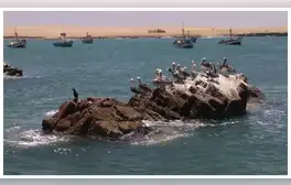 SNP insiste en pescar en zona prohibida de la Reserva Nacional de Paracas
