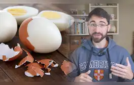 Estudiante de Harvard revela qué pasó tras comer 24 huevos al día por un mes para medir el nivel de su colesterol