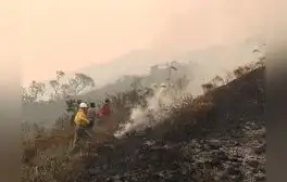 Los incendios forestales y el hambre afectan más al Perú rural