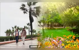Llegó la primavera a Lima, ¿cómo impacta en el estado de ánimo de los jóvenes, según la psicología?: "Puede generar frustración"