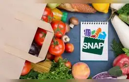 Cupones de alimentos SNAP en California: cuál es el monto que recibirás y qué puedes comprar en Estados Unidos en 2024