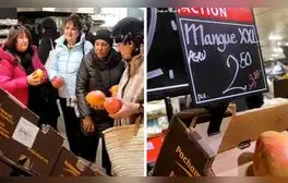 Suizos se ‘pelean’ por el mango peruano y en redes dicen: “Los más sabrosos del mundo”