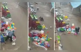 Comerciante peruano conmueve al perder su mercadería en intensas lluvias: “Ayúdenlo”