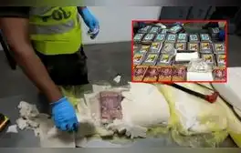 Piura: incautan más de una tonelada de cocaína oculta en pota, valorada en 50 millones de dólares y con destino a Europa