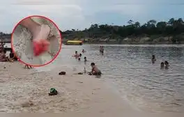 Ataque de pirañas en playa de Iquitos deja 10 heridos: biólogo advierte presencia por sequía de ríos