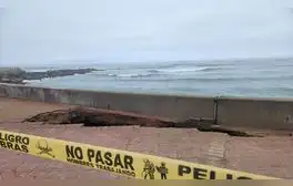 Alerta en la Costa Verde: se desploma parte de malecón de Miraflores tras nueva erosión del mar