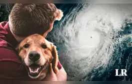 Lista de refugios que aceptan mascotas en Florida ante llegada del huracán Milton: zonas de evacuación AQUÍ