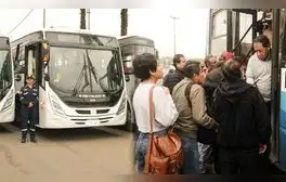 Marina de Guerra despliega buses ante paro de transportistas: conoce todos los paraderos
