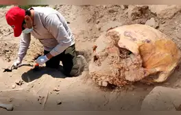 Hallazgo en Lambayeque: entierros humanos junto a animales en excavación arqueológica de Monsefú