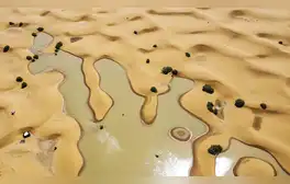 El Sahara, el desierto cálido más grande del mundo, se inundó por primera vez en décadas debido a un raro fenómeno