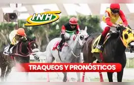 Traqueos y datos fijos 5y6 La Rinconada EN VIVO: favoritos de Gaceta Hípica y Grupo Cordialito HOY, 20 de octubre