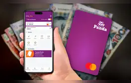 Panda: la nueva billetera digital para recibir dólares al instante desde EE.UU. y enviar dinero a 11 países