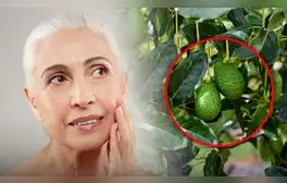Reduce las arrugas y mejora la elasticidad de la piel con este alimento rico en aminoácidos: no son las nueces ni las bayas