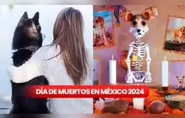 Ofrendas para mascotas en el Día de Muertos 2024: ¿cuándo y cómo poner un altar a los animales fallecidos?