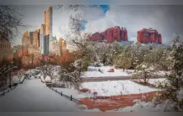 Invierno en Estados Unidos: cuánta nieve caerá y afectará a Nueva York, Texas y Arizona este 2024