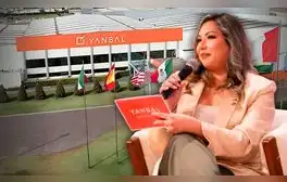Trabajó 10 años en una empresa en Perú hasta que la despidieron y hoy gana miles de soles como líder consultora: "Mi vida dio un giro"