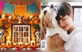 50 frases del Día de Muertos de mascotas 2024: cortas y emotivas para dedicar a tu perro o gato fallecido