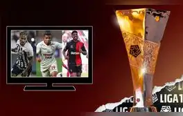 El novedoso canal que transmitirá los partidos de Universitario, Alianza Lima y Melgar en una sola pantalla