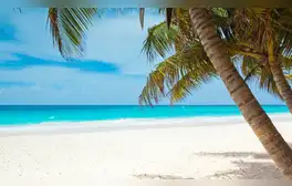 lr.pe