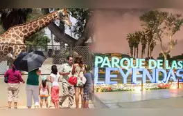 lr.pe
