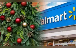 lr.pe