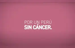 lr.pe