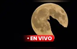 lr.pe