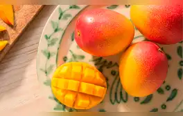 lr.pe
