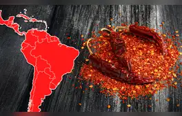 lr.pe