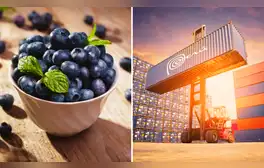 Estados Unidos es el principal destino de las exportaciones peruanas de arándanos.