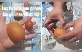 lr.pe