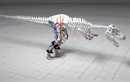 lr.pe